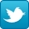 twitter_icon