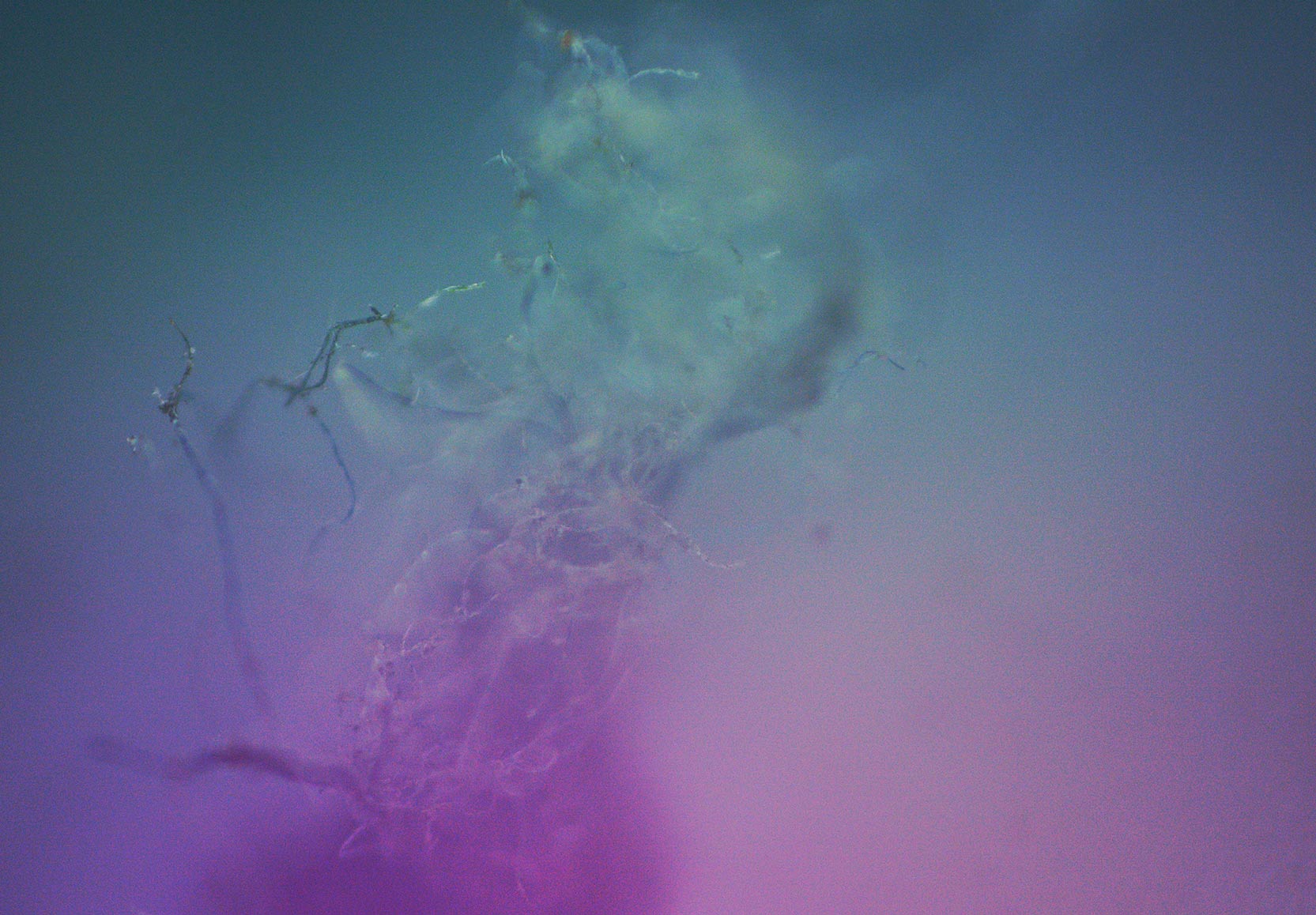 Blue Nebula Graphic
