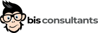 BIS Consultants