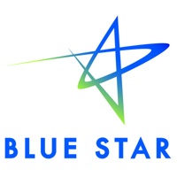 Blue Star IT Services & Solutions