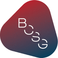 Blueprint Consulting Services Group