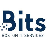 Boston IT Services Inc