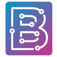 Bradley IT Consulting