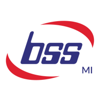 Business System Solutions Michigan