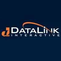 DataLink Interactive, Inc.