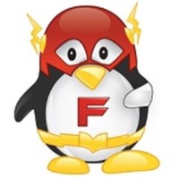 Flash Technology Group LLC.