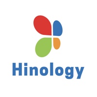 Hinology Technology Consulting LLC