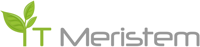 IT Meristem