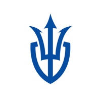 Invicta Partners LLC