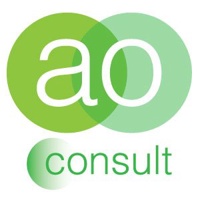 AO Consult LLC