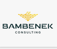 Bambenek Consulting, LTD