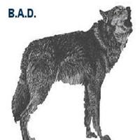 Business Application Developers (B.A.D)