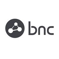 Business Network Consulting