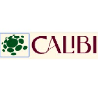 Calibi Consulting