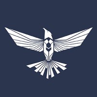 Cyber Guardian Consulting Group