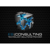 ES Consulting