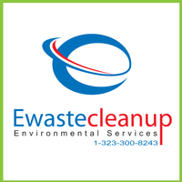 Ewaste Cleanup