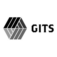 Global IT Service LLC