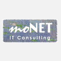 MONET IT CONSULTING LLC