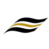 Management Solutions Consulting Group