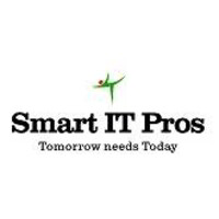 SMART IT PROS INC