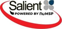 Salient IT