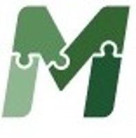 More Solutions Group