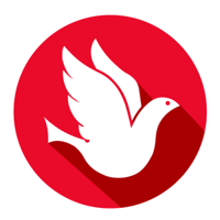 Network Solutions, Inc.