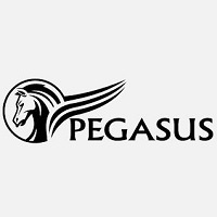 Pegasus Scientific And Professional Services, LLC