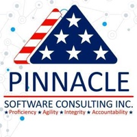 Pinnacle Software Consulting, Inc.