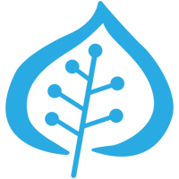 Silverleaf Computer Services